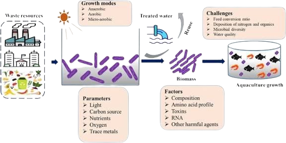 Aquaculture research